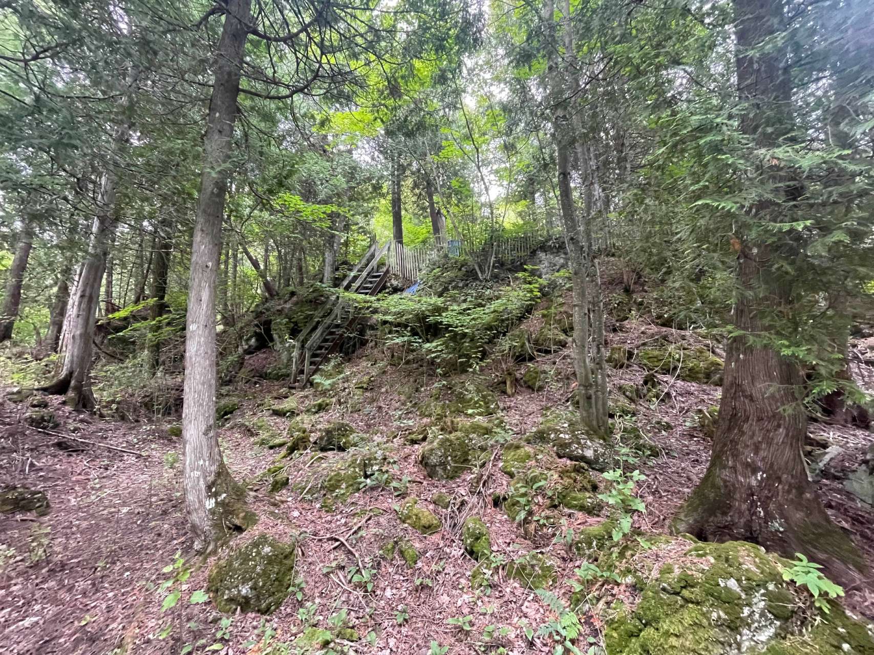 Slide 9